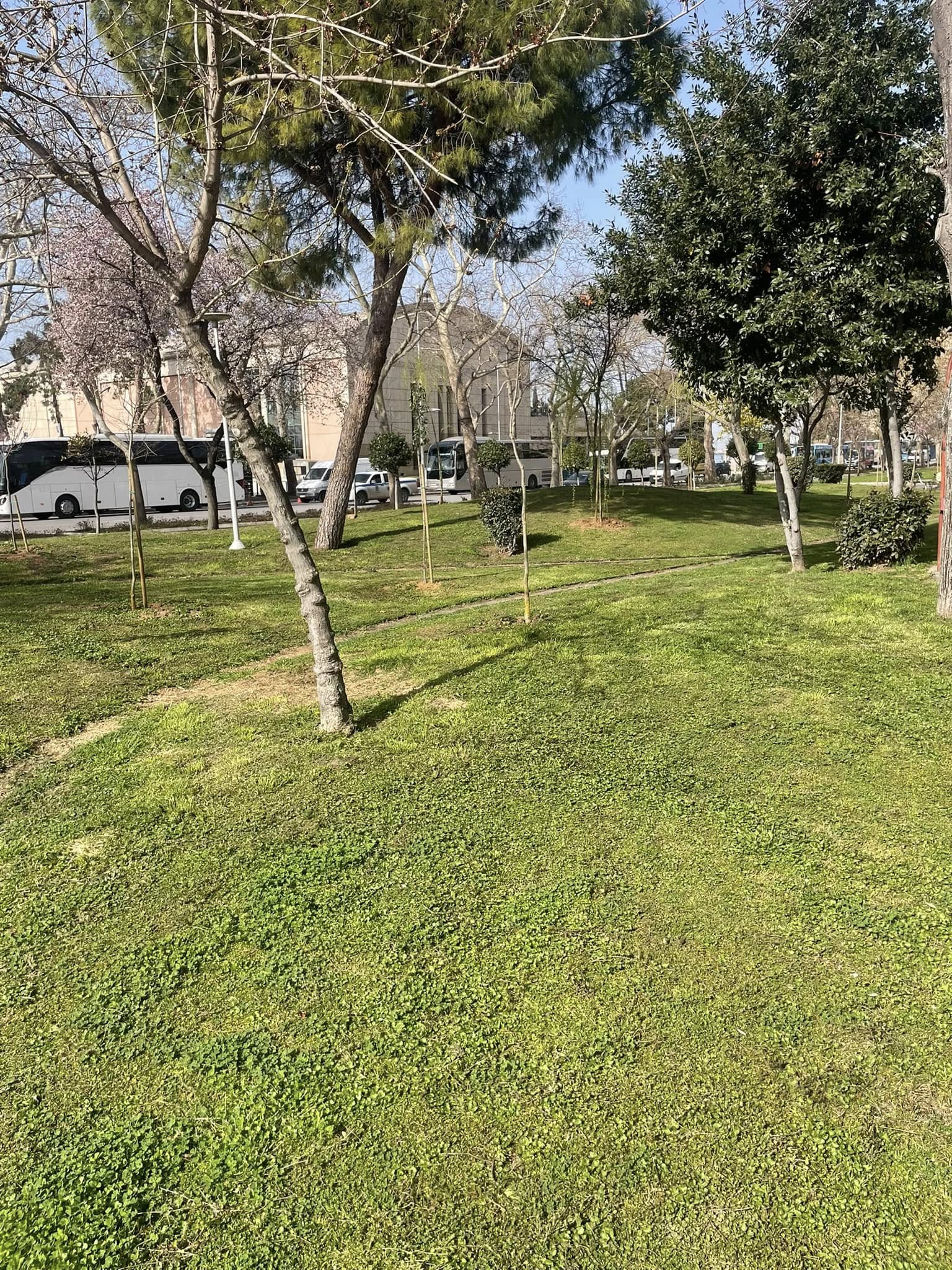 dentra_xarhakos_6.jpg dentra_xarhakos_6.jpg