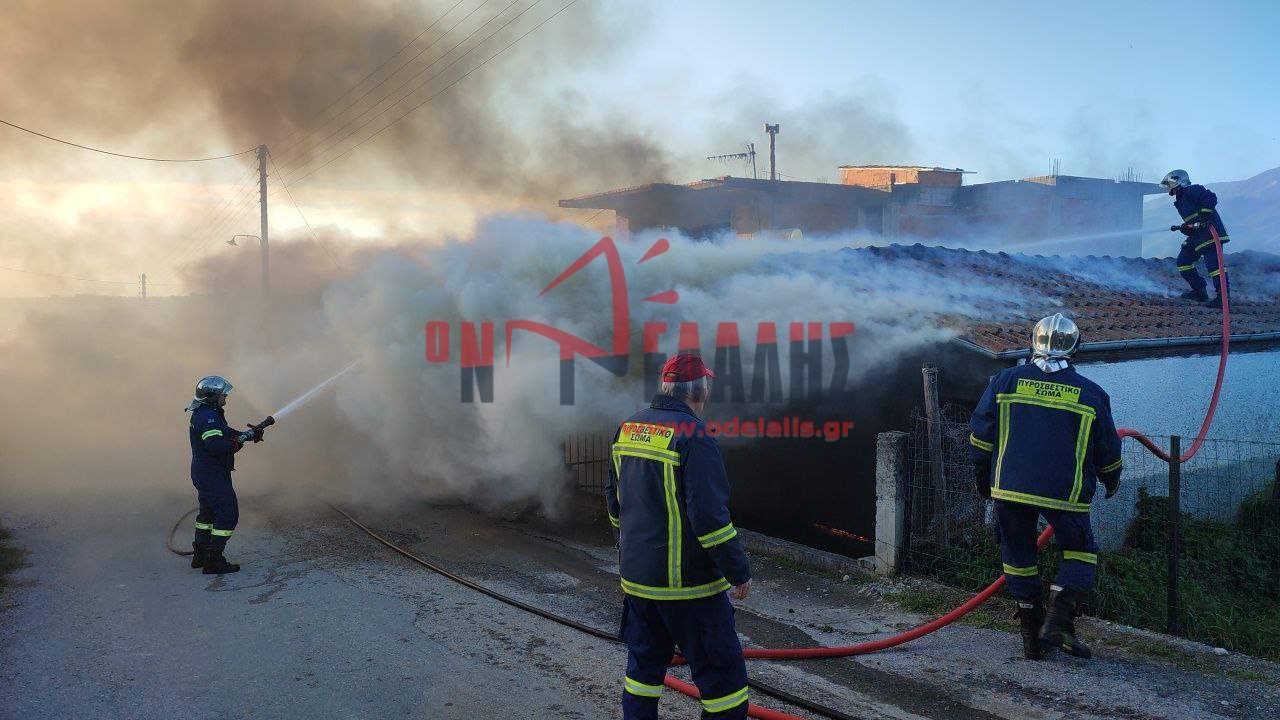 fotia_pieria_2.jpg fotia_pieria_2.jpg