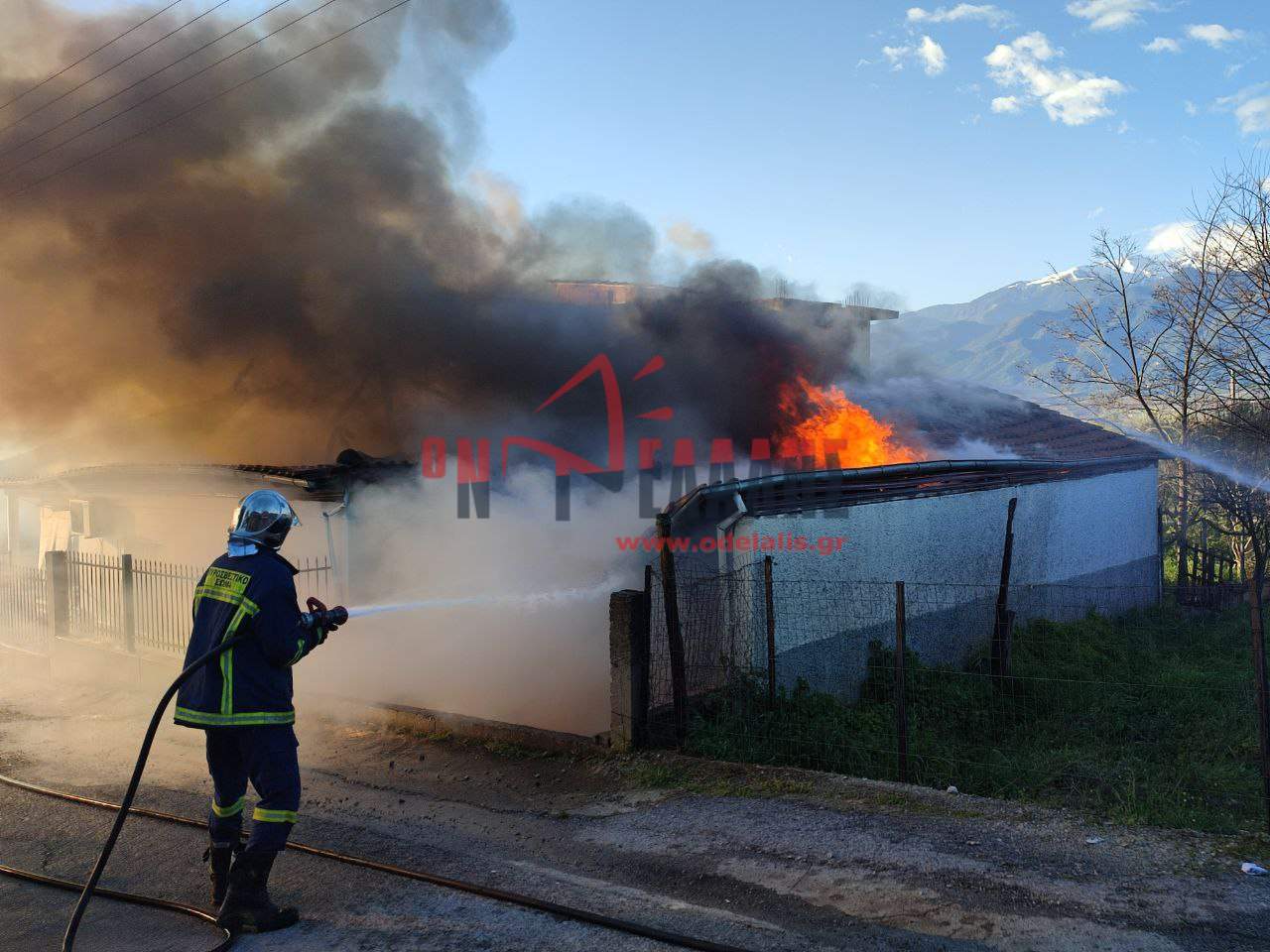 fotia_pieria_4.jpg fotia_pieria_4.jpg