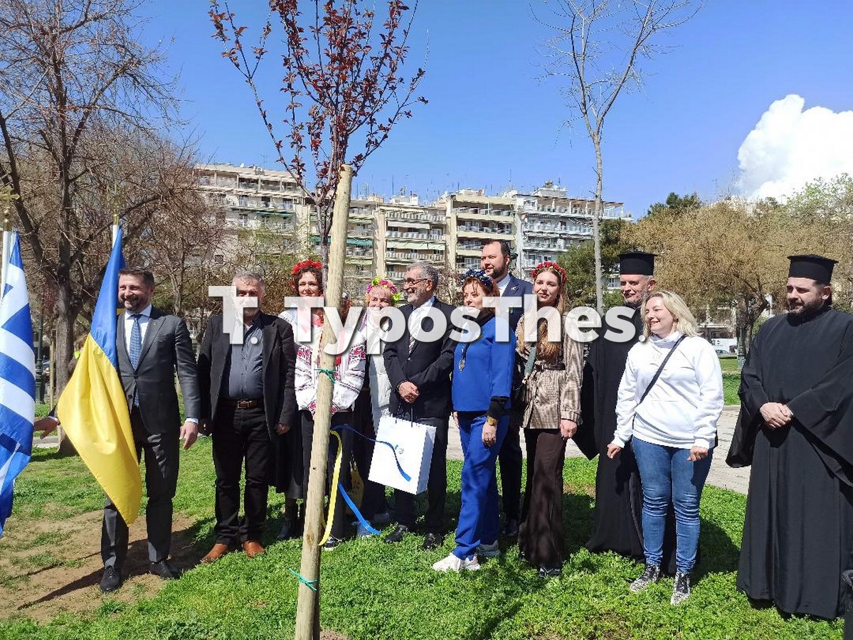 oukraniko-proxeneio-dendrofyteysi_2.jpg oukraniko-proxeneio-dendrofyteysi_2.jpg