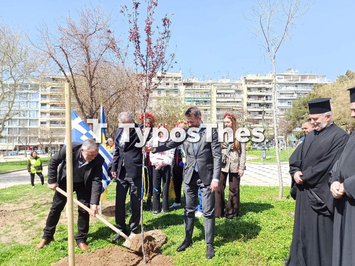 oukraniko-proxeneio-dendrofyteysi_3.jpg oukraniko-proxeneio-dendrofyteysi_3.jpg