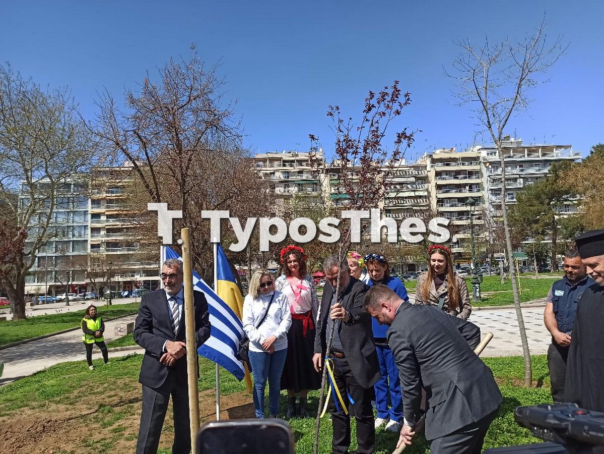 oukraniko-proxeneio-dendrofyteysi_4.jpg oukraniko-proxeneio-dendrofyteysi_4.jpg