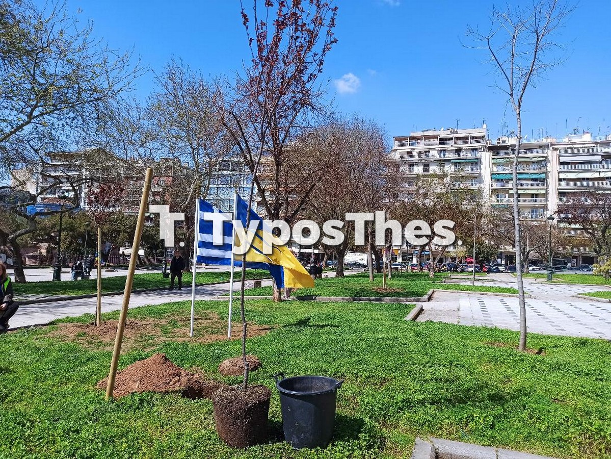 oukraniko-proxeneio-dendrofyteysi_7.jpg oukraniko-proxeneio-dendrofyteysi_7.jpg