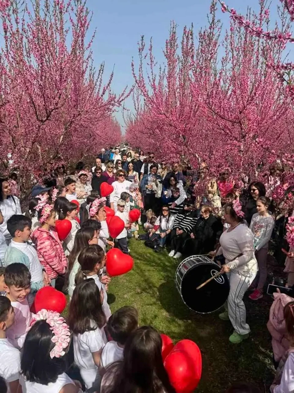 rodakinies_florina_3.jpg rodakinies_florina_3.jpg