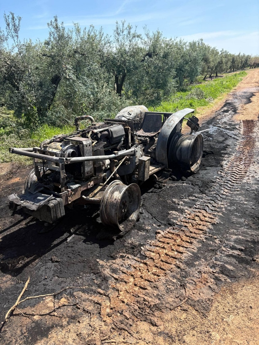 fotia_trakter_agios_mamas_2.jpg fotia_trakter_agios_mamas_2.jpg