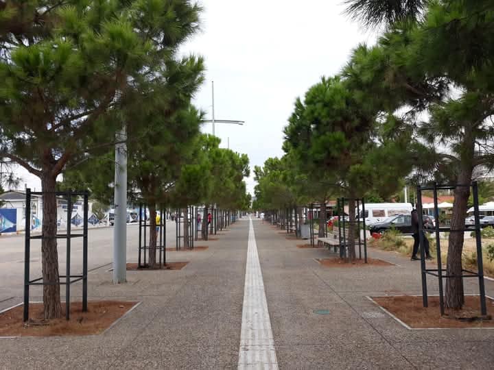 nea-paralia-dentra.jpg nea-paralia-dentra.jpg