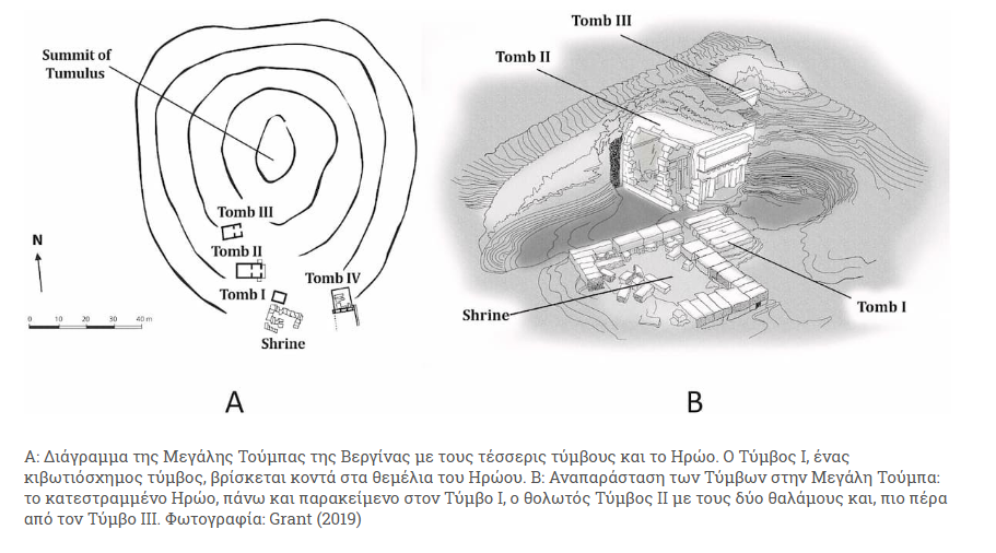 vergina.png vergina.png