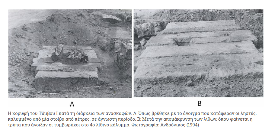 vergina2.png vergina2.png