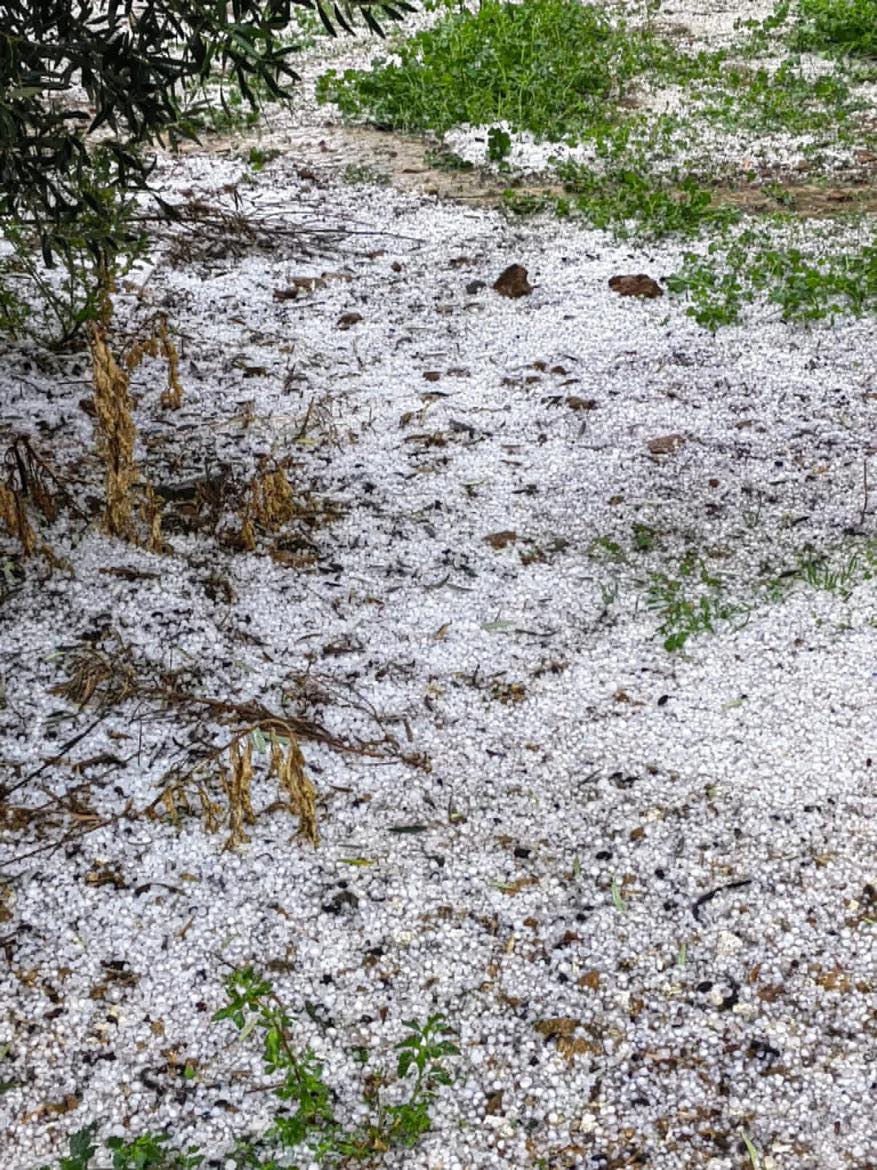 xalkidiki_xalazi_1.jpg xalkidiki_xalazi_1.jpg