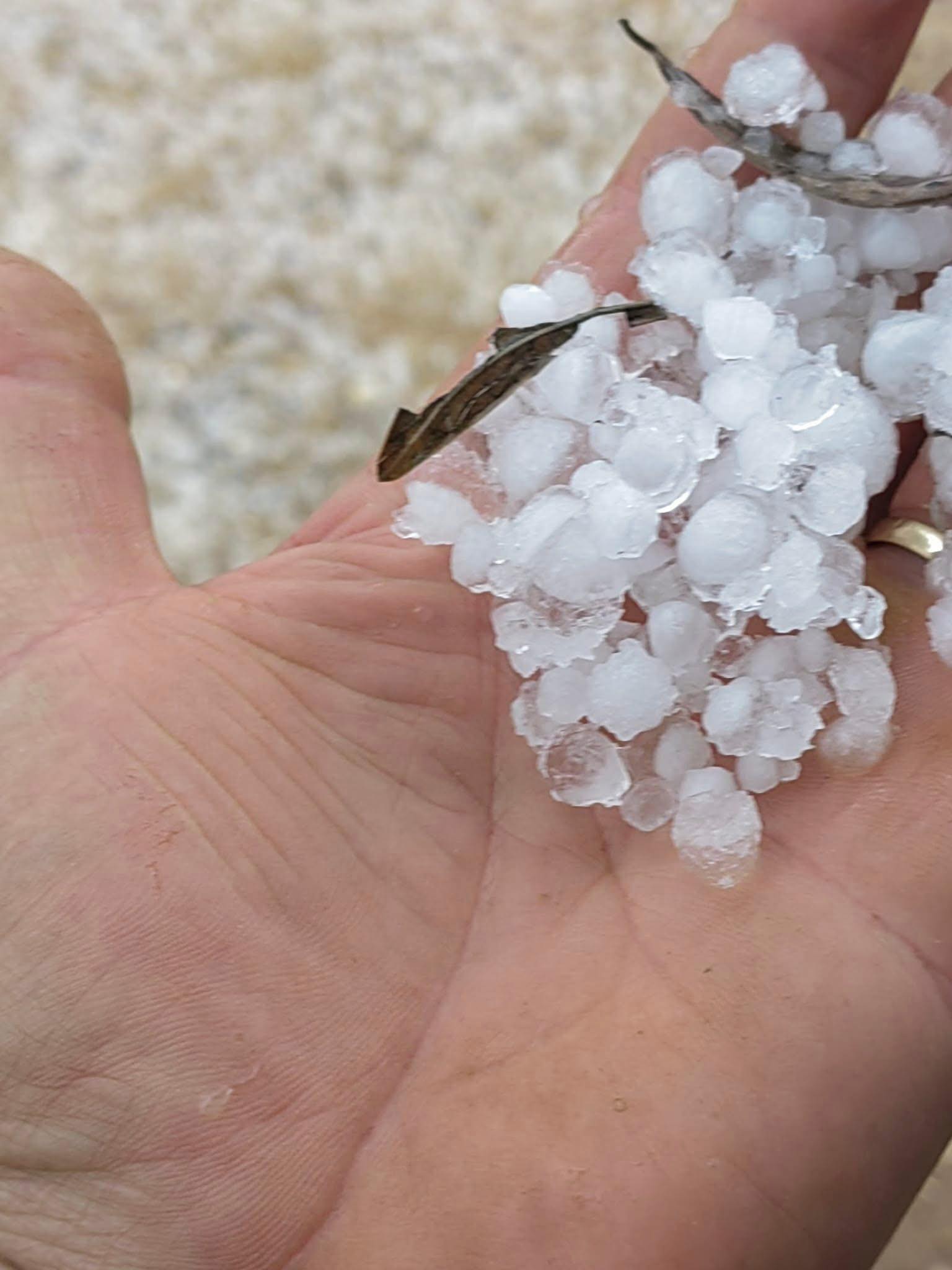 xalkidiki_xalazi_2.jpg xalkidiki_xalazi_2.jpg