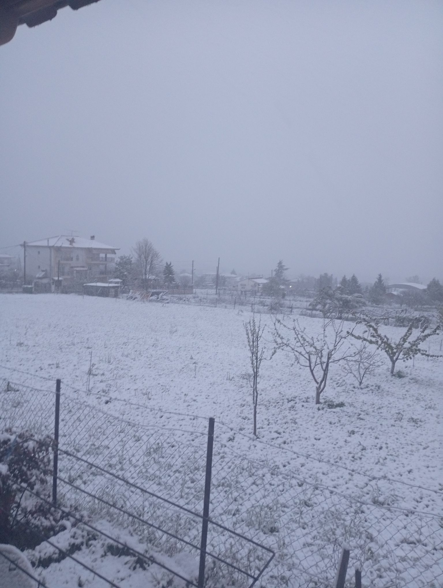 xionia_lagkadas_3.jpg xionia_lagkadas_3.jpg