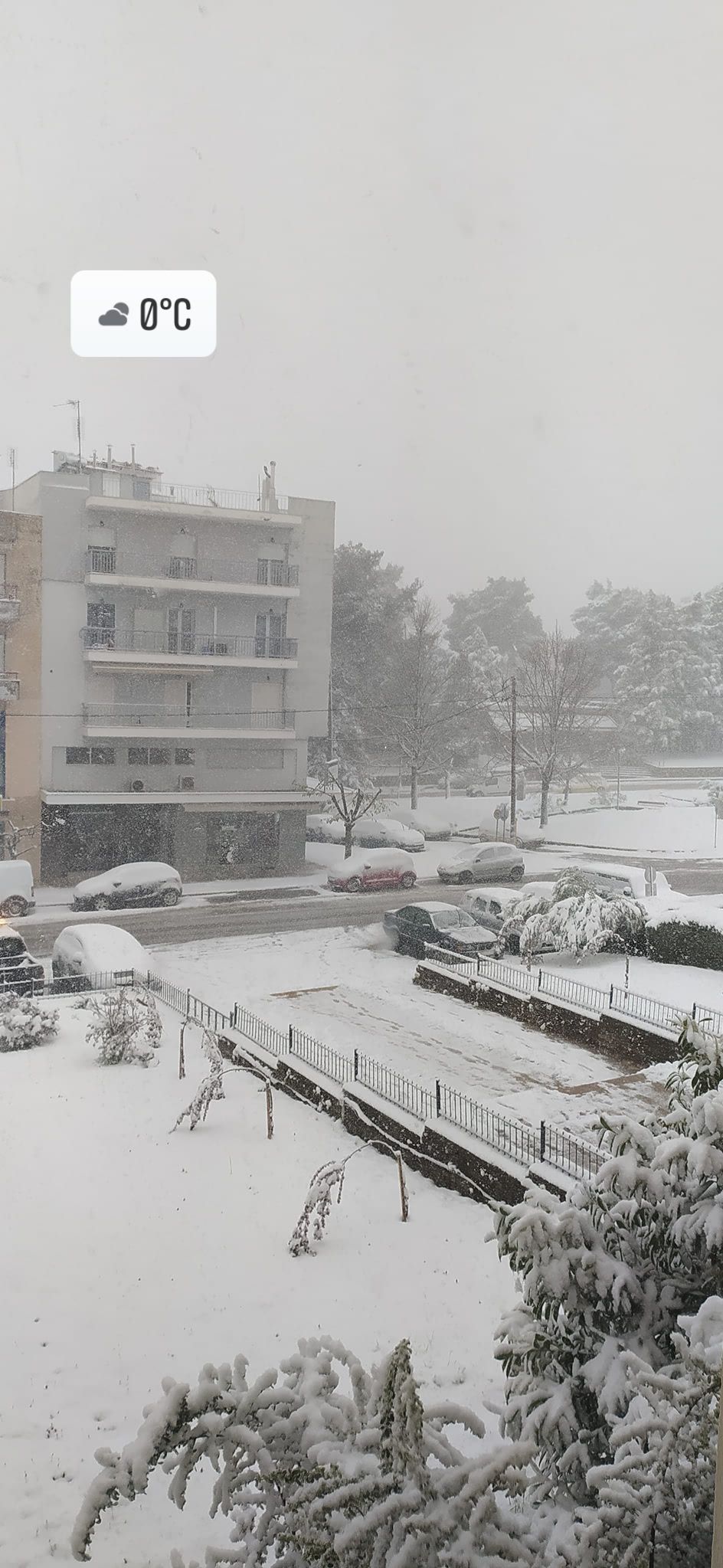 xionia_xalkidiki_3.jpg xionia_xalkidiki_3.jpg