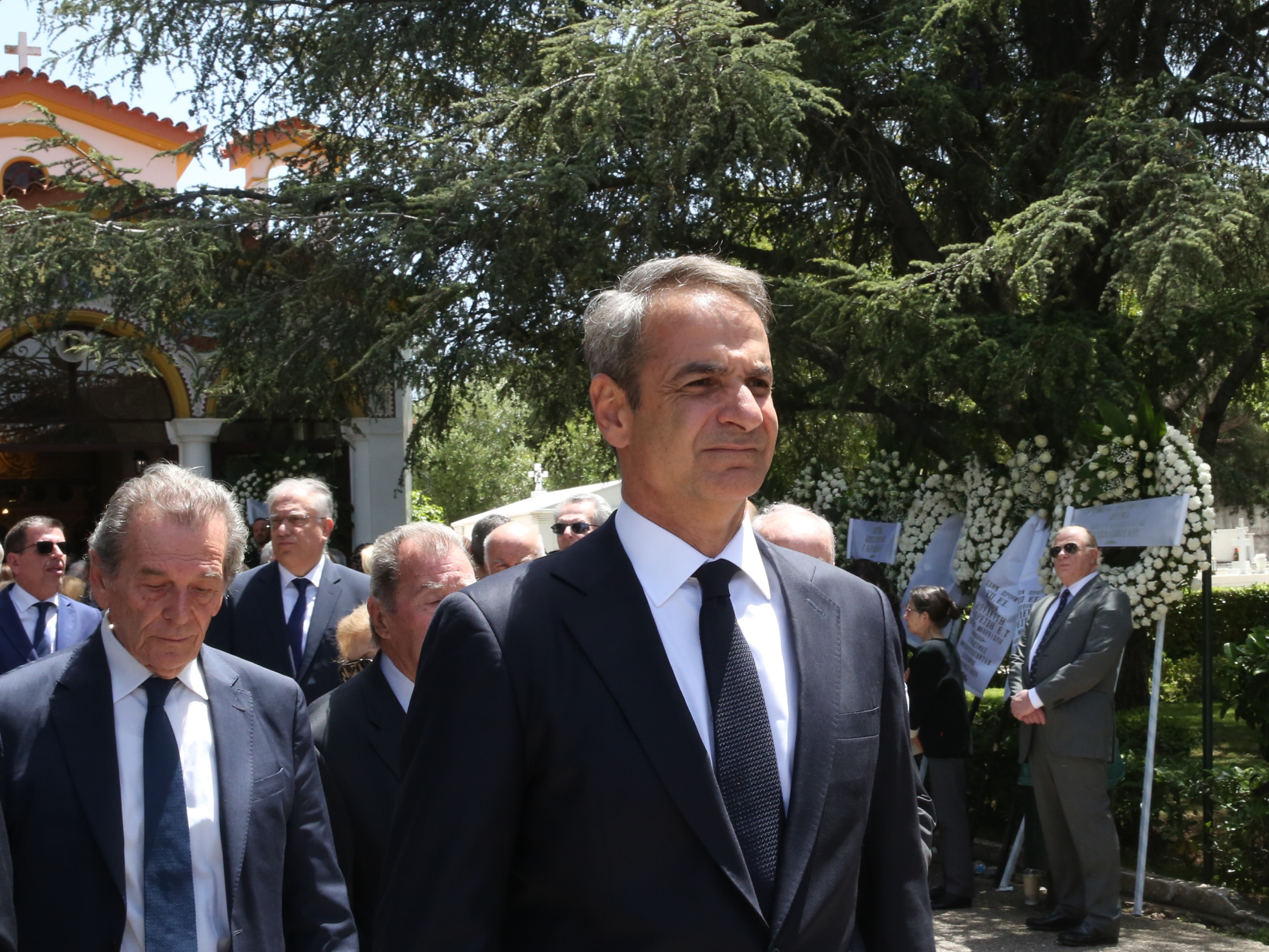 kideia_molybiatis_2.jpg kideia_molybiatis_2.jpg