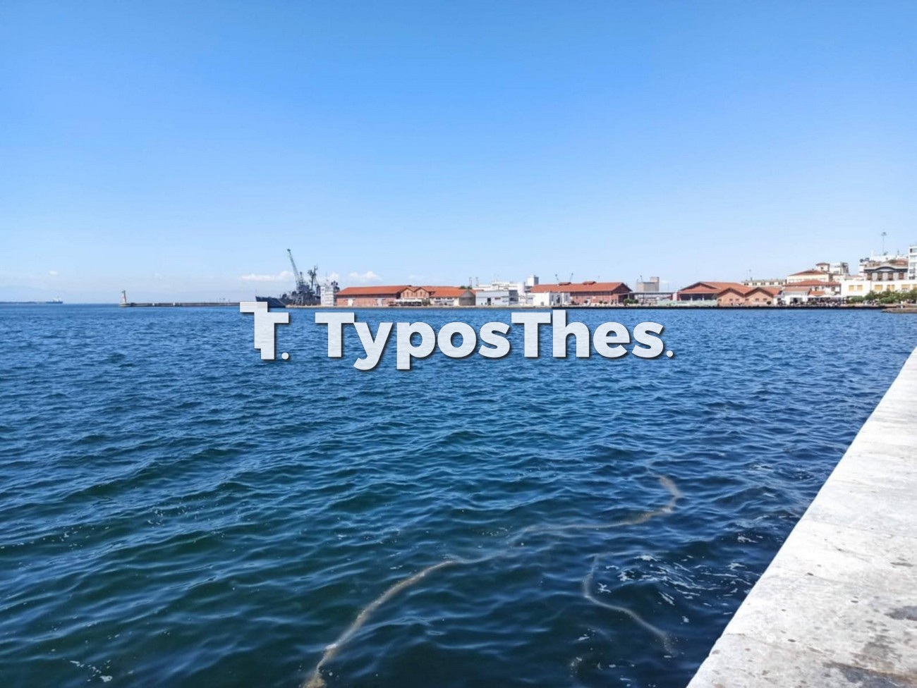 medoyses1.jpg medoyses1.jpg
