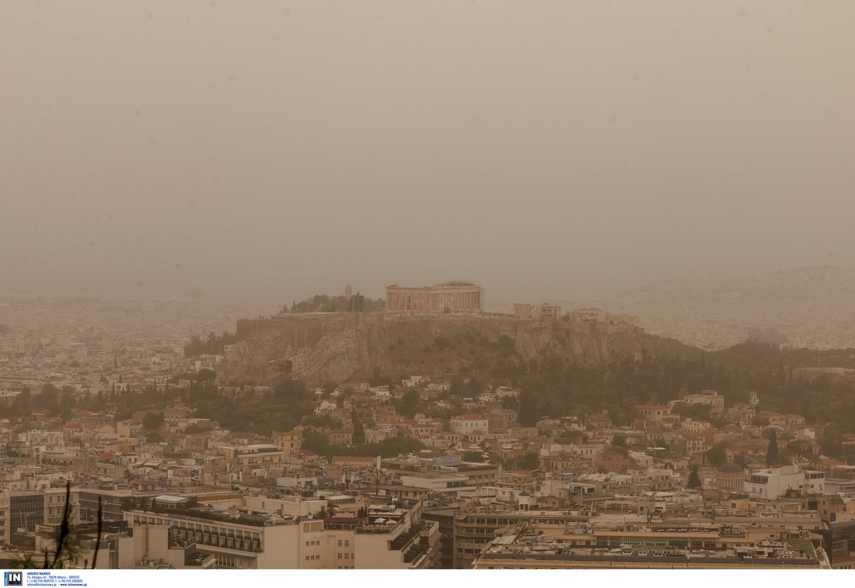 skoni-athina_5.jpg skoni-athina_5.jpg