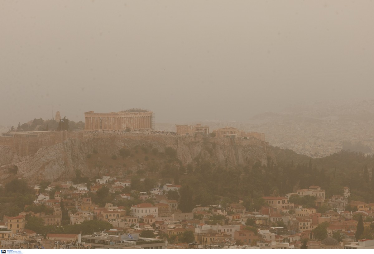 skoni-athina_6.jpg skoni-athina_6.jpg