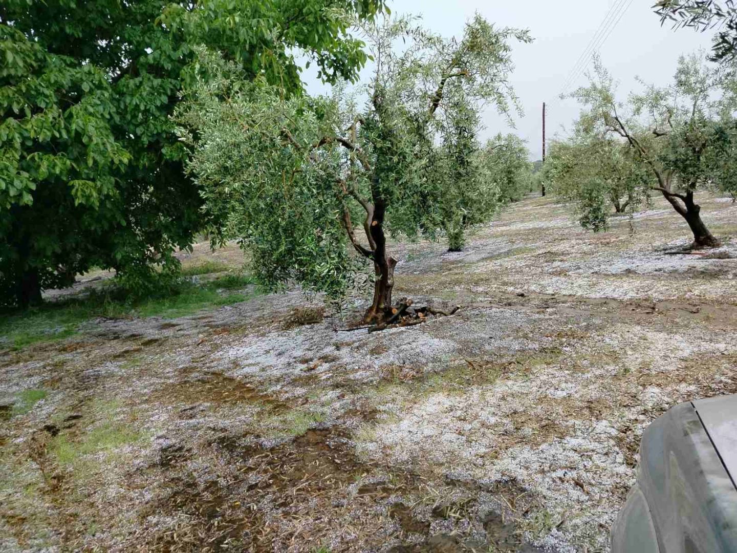 xalkidiki_xalazi3.jpg xalkidiki_xalazi3.jpg