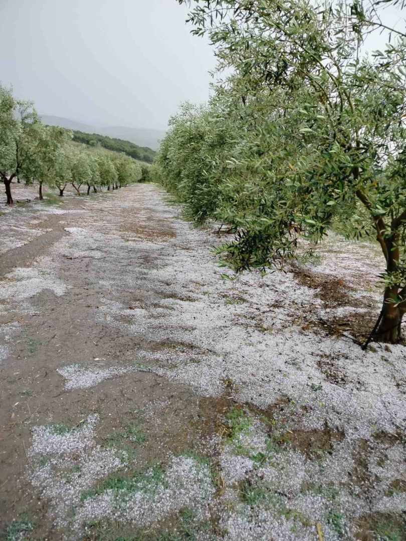xalkidiki_xalazi4.jpg xalkidiki_xalazi4.jpg