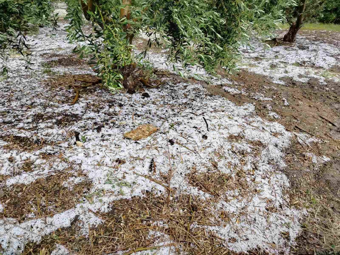 xalkidiki_xalazi5.jpg xalkidiki_xalazi5.jpg