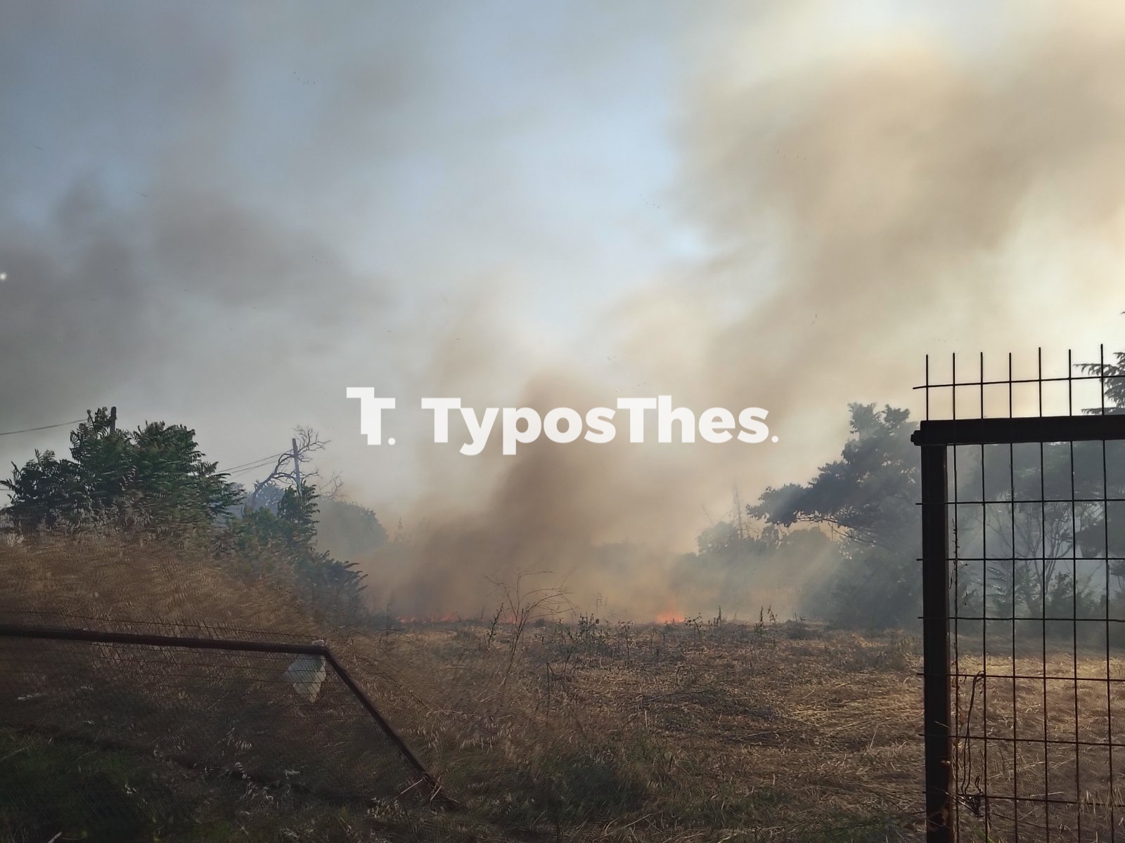fotia-thess_5.jpg fotia-thess_5.jpg