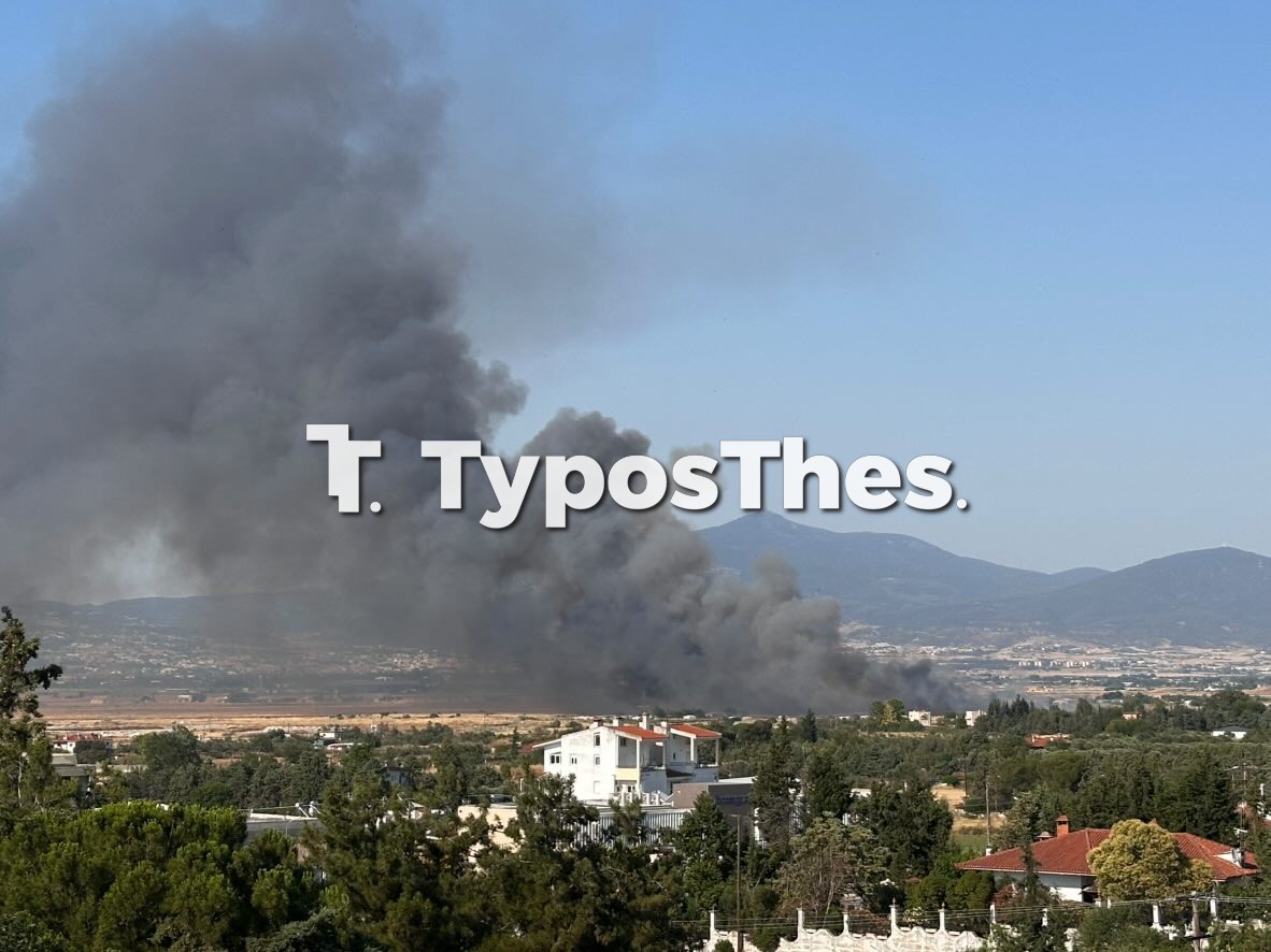fotia-tsairia_3.jpg fotia-tsairia_3.jpg