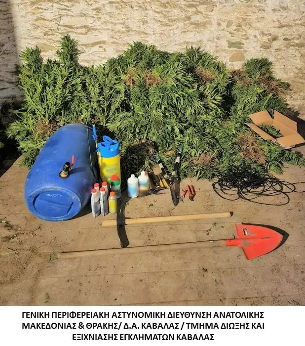 fyteia_kannabi_3.jpg fyteia_kannabi_3.jpg