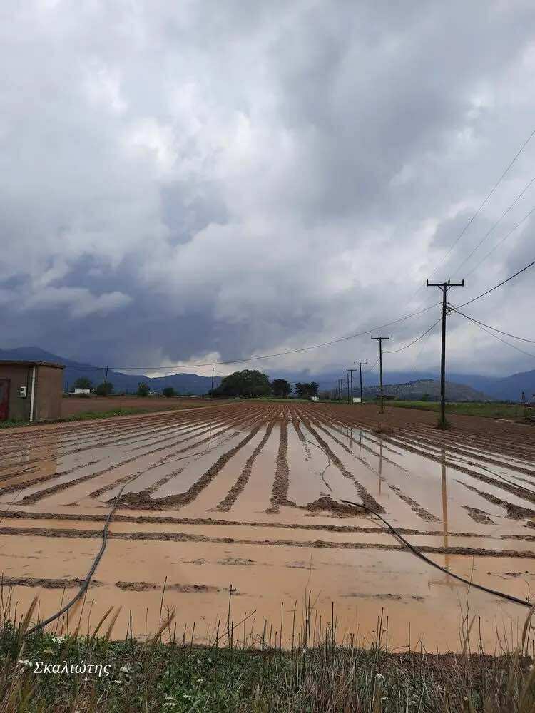 kalliergeies_broxi_lasithi_2.jpg