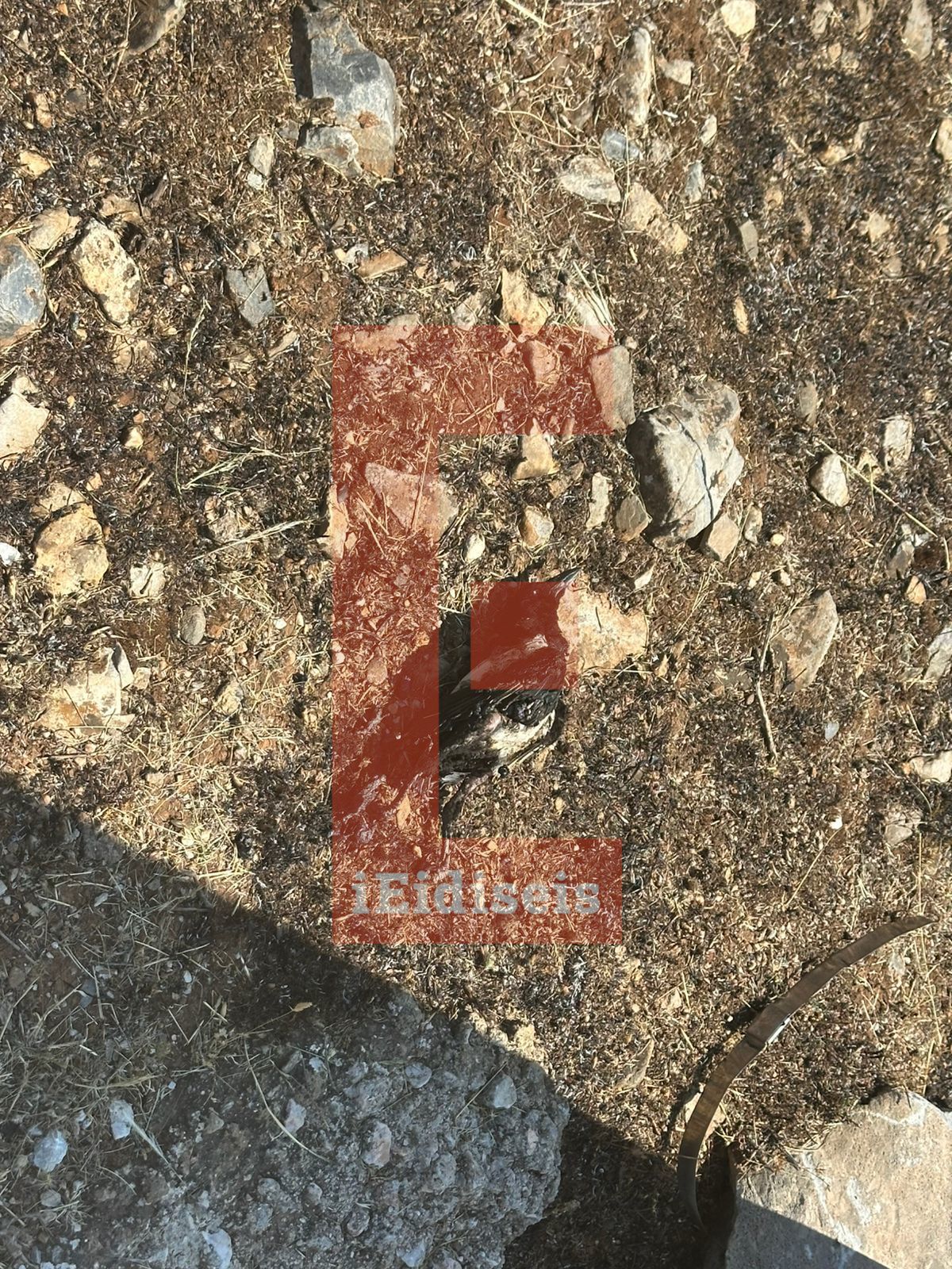 karakaxa2.jpg karakaxa2.jpg
