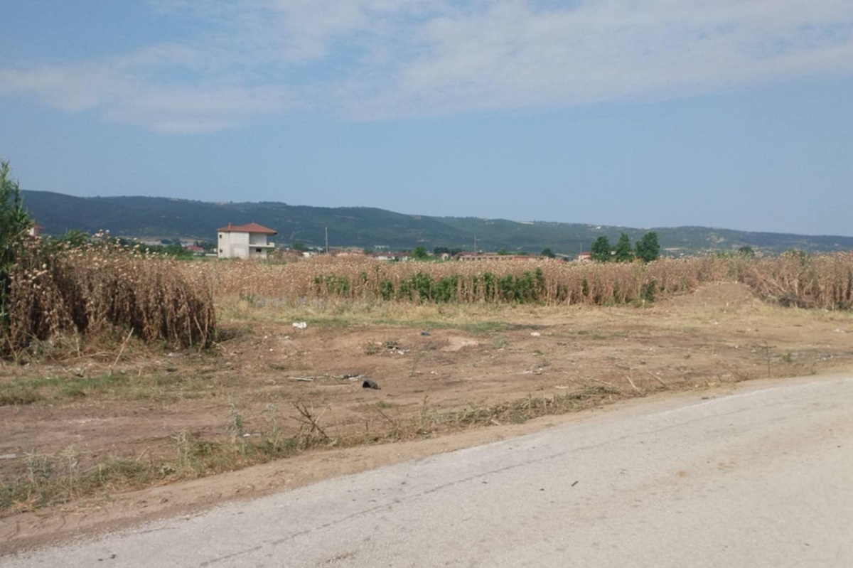 meta-xomateri-kavalari.jpg meta-xomateri-kavalari.jpg