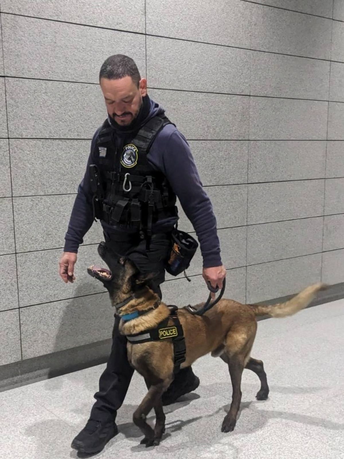 oscar_police_dog_2.jpg