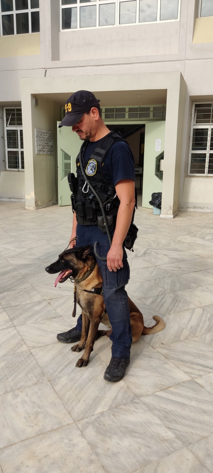 oscar_police_dog_6.jpg