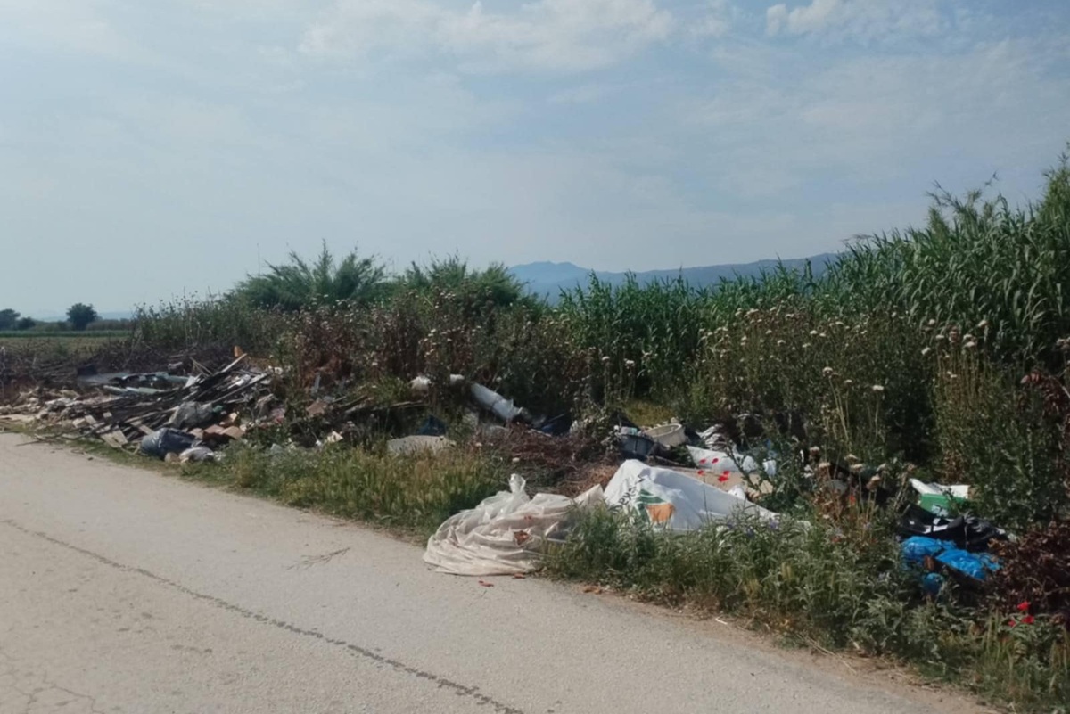 prin-xomateri-kavalari-3.jpg prin-xomateri-kavalari-3.jpg