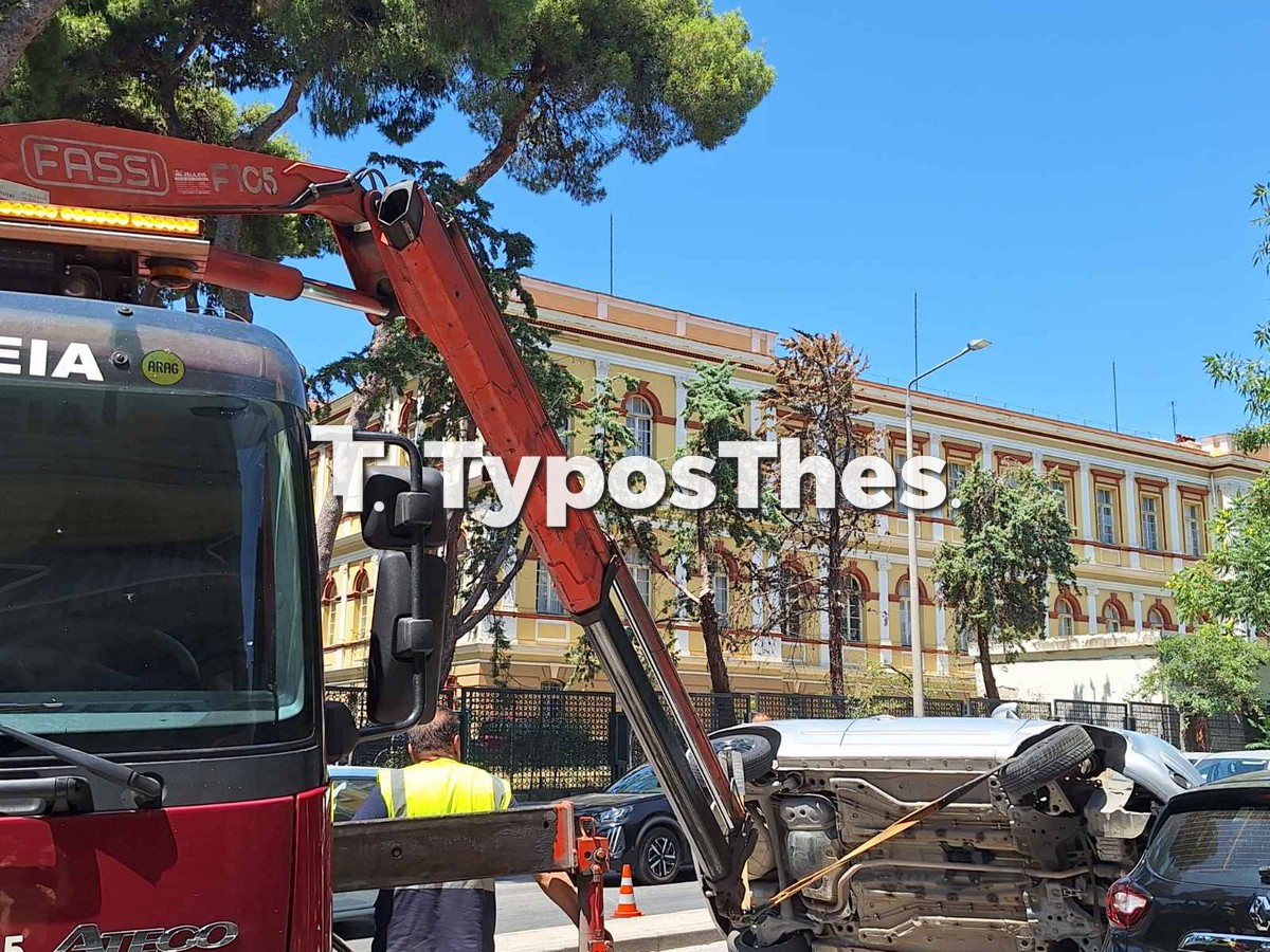 troxaio_2.jpg troxaio_2.jpg