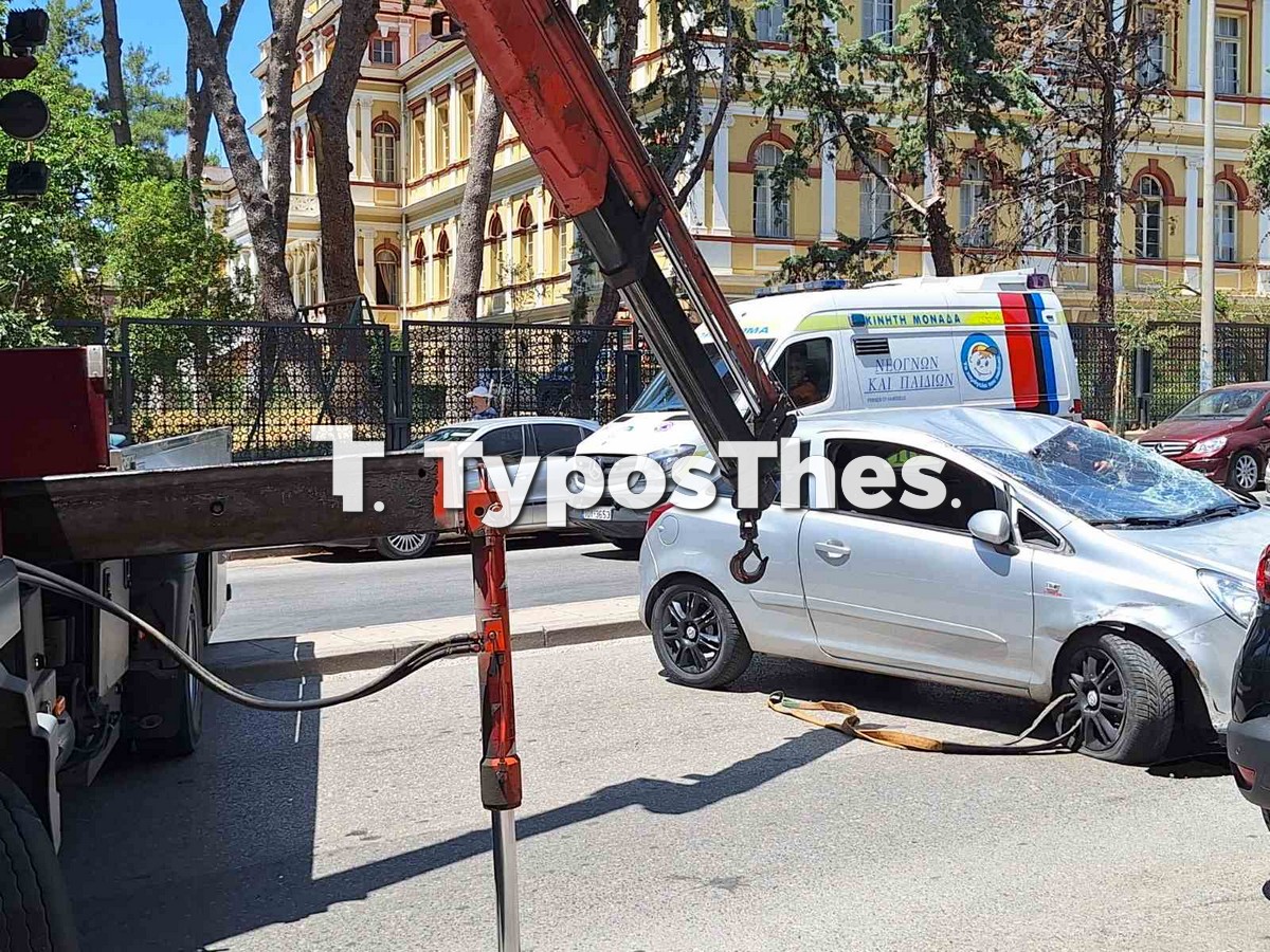 troxaio_4.jpg troxaio_4.jpg