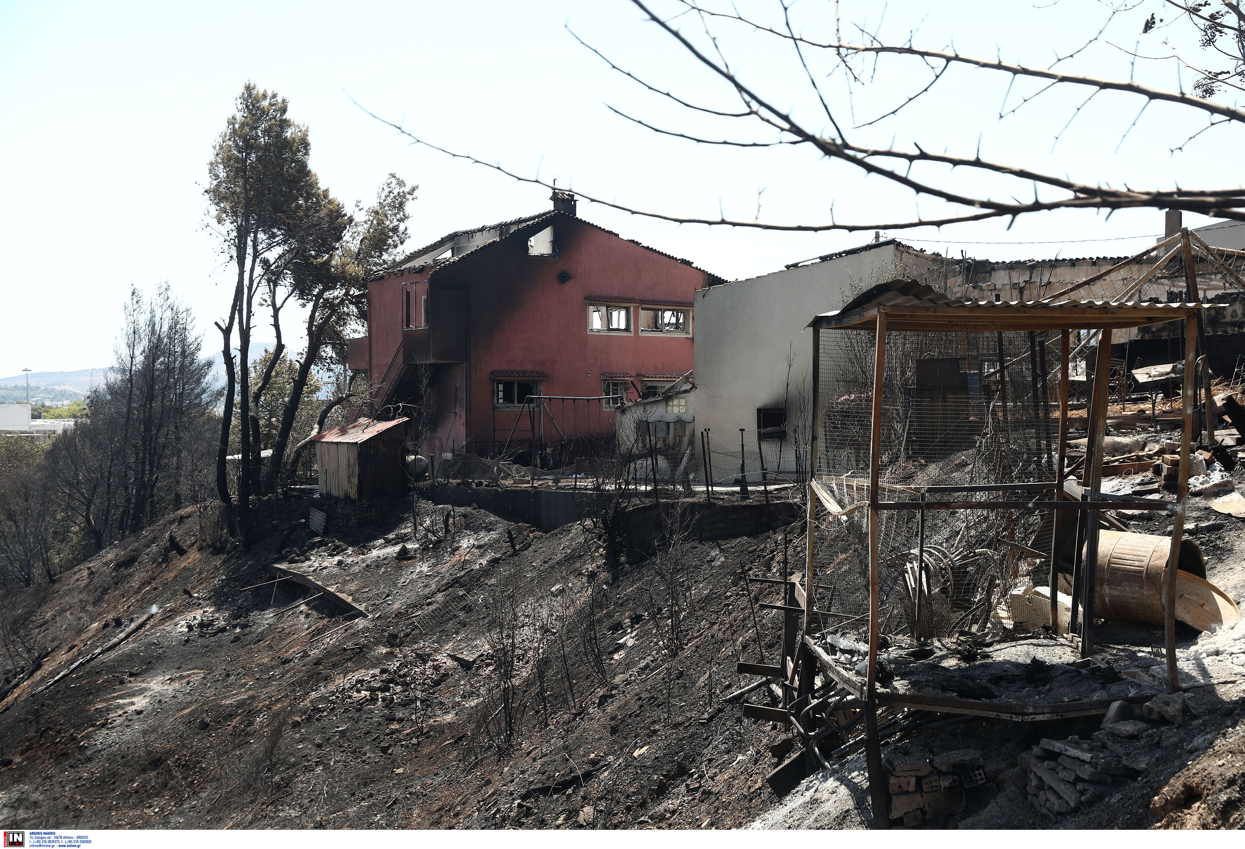fotia-krioneri5.jpg