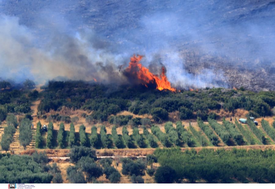 fotia_agia_larisa3.jpg