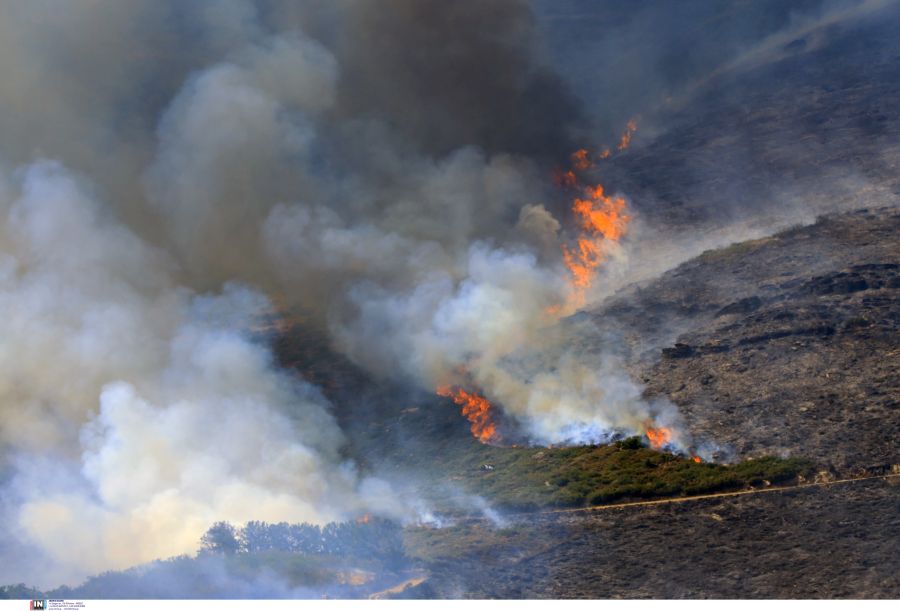 fotia_agia_larisa4.jpg