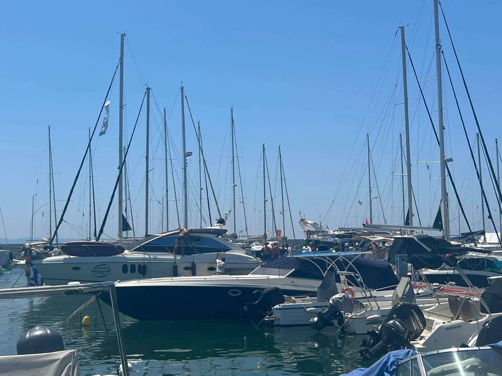 fotia_marina_nikiti_2.jpg