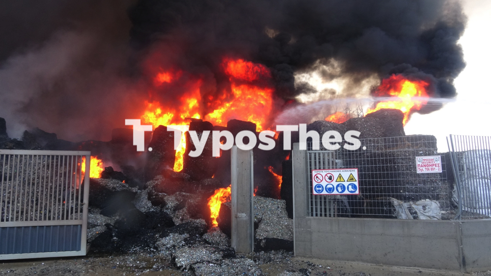 fotia_sindos_4.jpg fotia_sindos_4.jpg