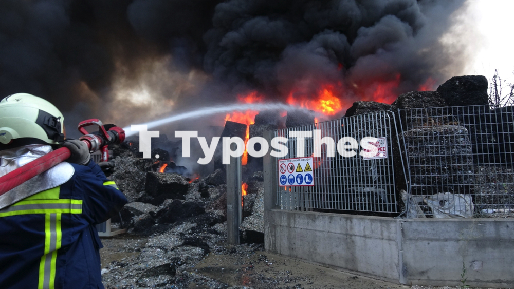 fotia_sindos_6.jpg fotia_sindos_6.jpg