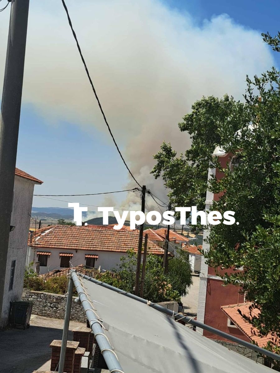 fotia_volvi_1.jpg