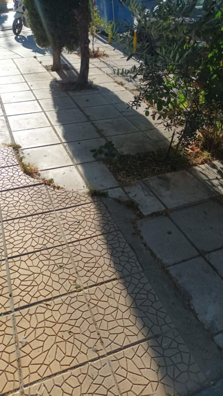 katharismos_kalamaria_7.jpg katharismos_kalamaria_7.jpg