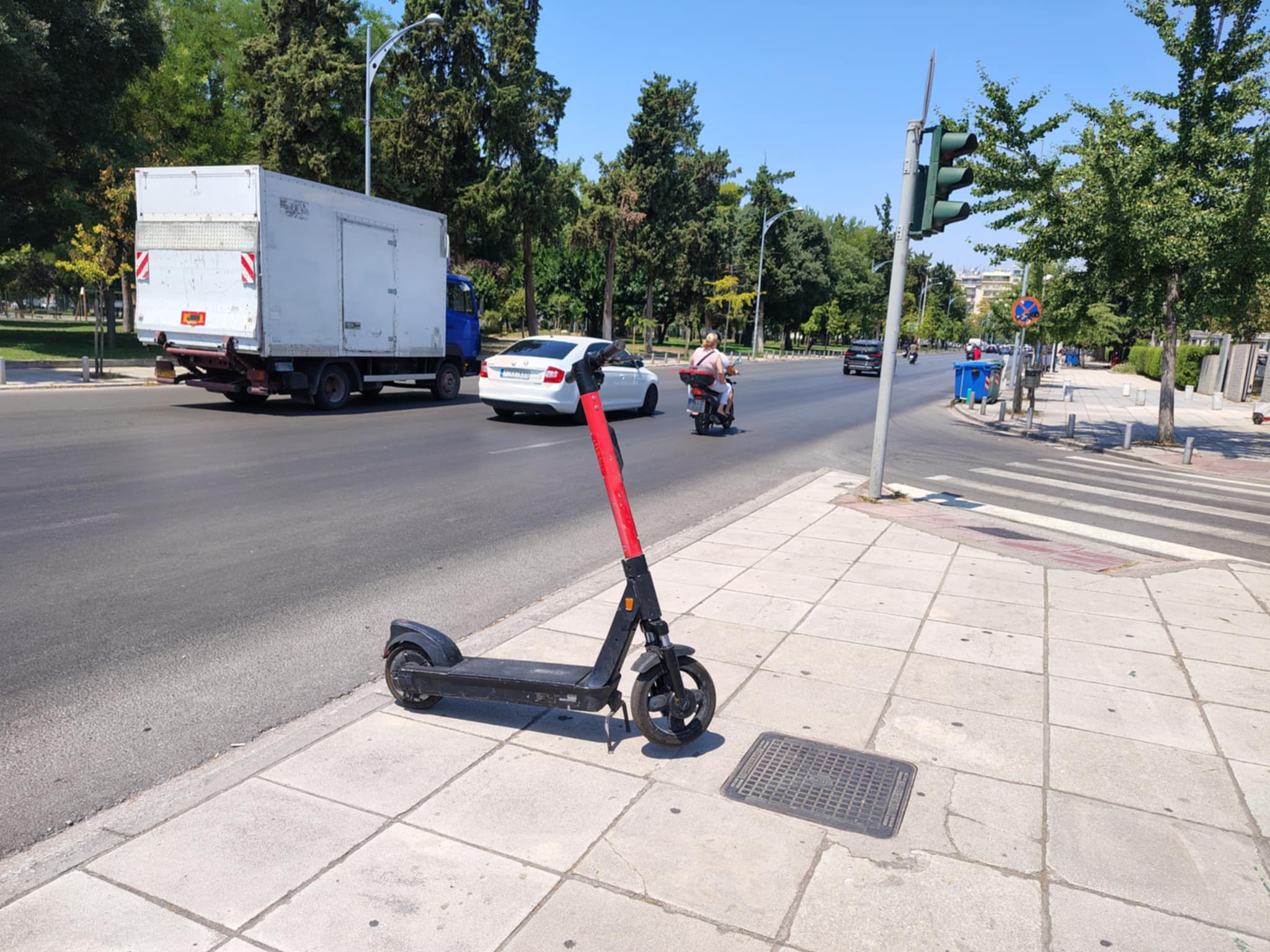 patinia.jpg