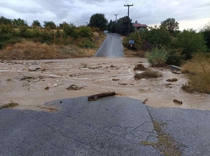 serres_dromos_plimmyra_1.jpg