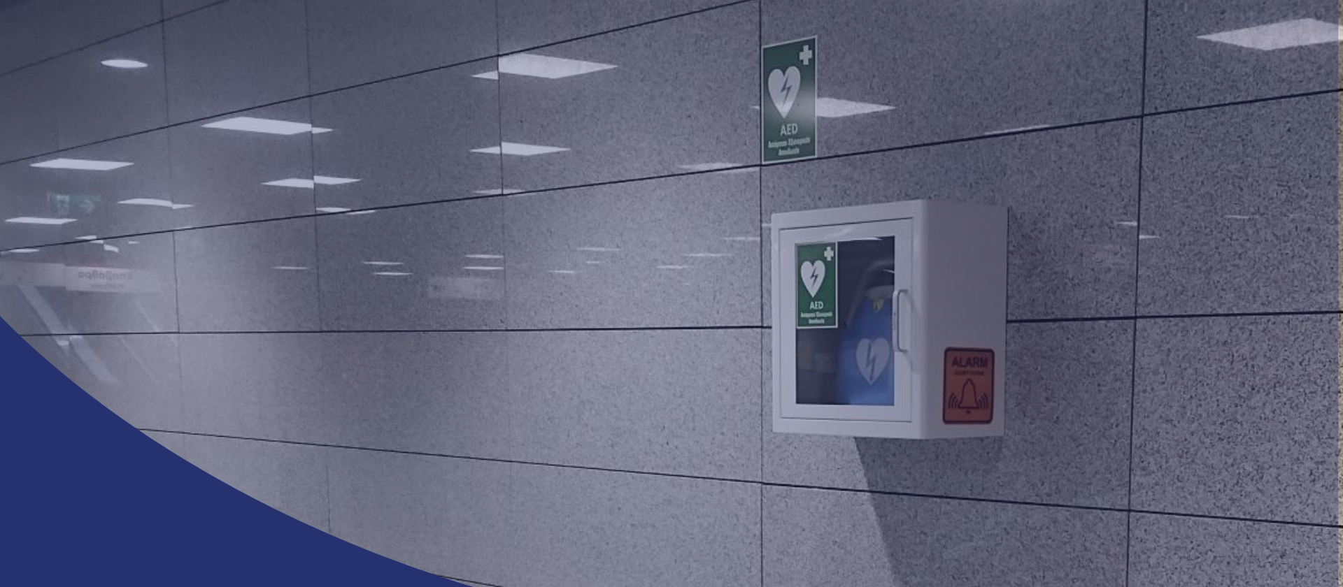 apinidotis-metro.png