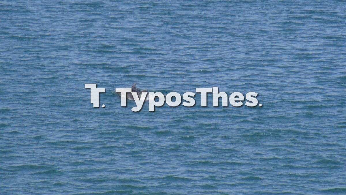 delfinia-thermaikos_3.jpg