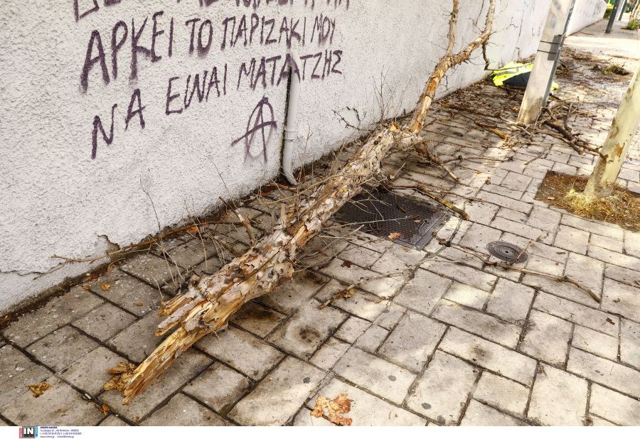 ektropi_pyrosvestikou4.jpg