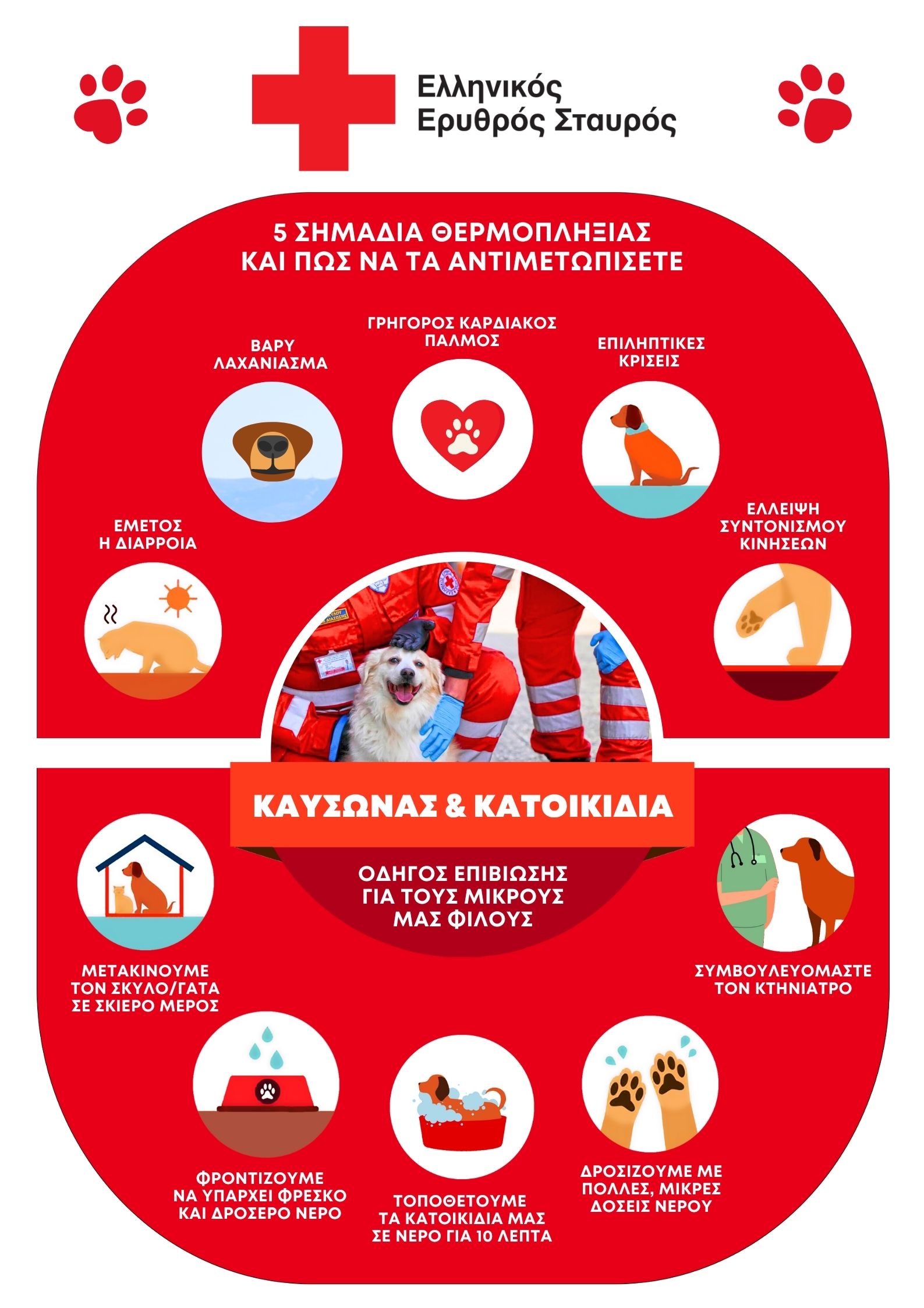 erythros_stayros_skyloi_protes_boitheies_4.jpg