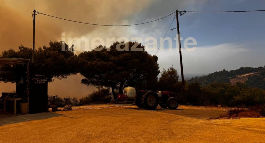 fotia_zakinthos_damianos.jpg