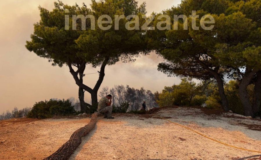 fotia_zakinthos_damianos2.jpg